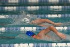 Swimming vs Babson  Wheaton College Swimming vs Babson College. - Photo By: KEITH NORDSTROM : Wheaton, Swimming, Babson